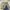 Skater Casual Skirt Wanita multicolor photo 3