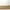 Longchamp Casual Shoulder bag Wanita tan photo 7