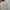 Charles And Keith Casual Handbag Wanita White