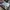 Charles and Keith Casual Handbag Wanita white photo 3