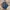 Carhartt pants 101483-968 photo 1