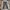 Carhartt pants 101483-968 photo 3