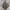 Carhartt double knee grey photo 1