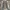 Carhartt double knee grey photo 6