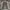 Carhartt double knee grey photo 3