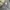 Carhartt double knee grey photo 5
