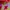 Dress Terusan Warna-Warni Wanita Colorful Preloved photo 3
