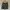 Dorothy Perkins Skort Bunga-Bunga Preloved photo 1
