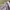 Baju Atasan Crop Ungu Perempuan New Zara look alike photo 2