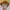 Baju Atasan Crop Ungu Perempuan New Zara look alike photo 4