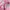 ADIDAS STRIPE PINK HALF ZIP T-SHIRT | KAOS | KDU photo 3