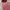 Marlen The Label Cute Pink Bow Dress Terusan Preloved photo 4