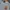 VINTAGE PATRICK EWING CREWNECK USA  BASKETBALL VTG photo 3
