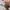 adidas yeezy boost 700 mauve photo 5