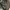 Bampo wallet  photo 5