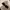 cotton on sunglasses photo 4