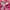 Juicy couture short sleeve hoodie photo 3
