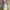 Lari Couple photo 1