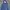 Disney Puffy Jacket Outdoor Down (bulang)