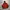 K2 Climbing Windstoper Jacket photo 1