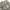 Burberry Luxury Y2K Casual trouser Wanita multicolor photo 5