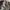 🥶Adidas Bill Mcmullen adicolor (LIMITED EDITION) photo 6