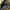 Casual Gym bag Wanita yellow black photo 6