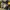 Casual Gym bag Wanita yellow black photo 1