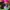 Casual Kids multicolor photo 5