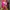 Casual Kids multicolor photo 2
