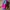 Casual Kids multicolor photo 3