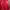 Jaket Sporty Pro Worldcup Unisex Warna Merah Kombinasi Putih photo 1