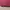 Luxury Wanita burgundy red photo 4