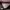 Luxury Wanita burgundy red photo 7