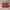 Luxury Wanita Burgundy Red