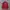 Tracktop Adidas Treefoill/Firebird