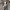 8 SECOND - Outerwear Cream Double Big Pocket Canvas Jacket photo 6