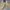 8 SECOND - Outerwear Cream Double Big Pocket Canvas Jacket photo 7