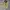 8 SECOND - Outerwear Cream Double Big Pocket Canvas Jacket photo 1