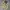 8 SECOND - Outerwear Cream Double Big Pocket Canvas Jacket