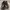 Adidas VL Court All blck photo 5