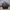 Lesportsac Tote bag full black  photo 4