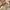 Tory Burch Luxury Casual Wedge Wanita pink photo 3