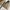 Rock Port Casual Loafer Wanita white photo 3