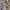 Vintage Hysteric Glamour "P.  O.  R.  N. Photo" All Over Pri photo 4