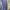 One set - camelia photo 6