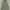 Dress  photo 1
