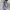 Jacket partimento photo 4
