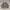 Vintage Silver fleece knit wear photo 6