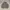Vintage Silver fleece knit wear photo 1
